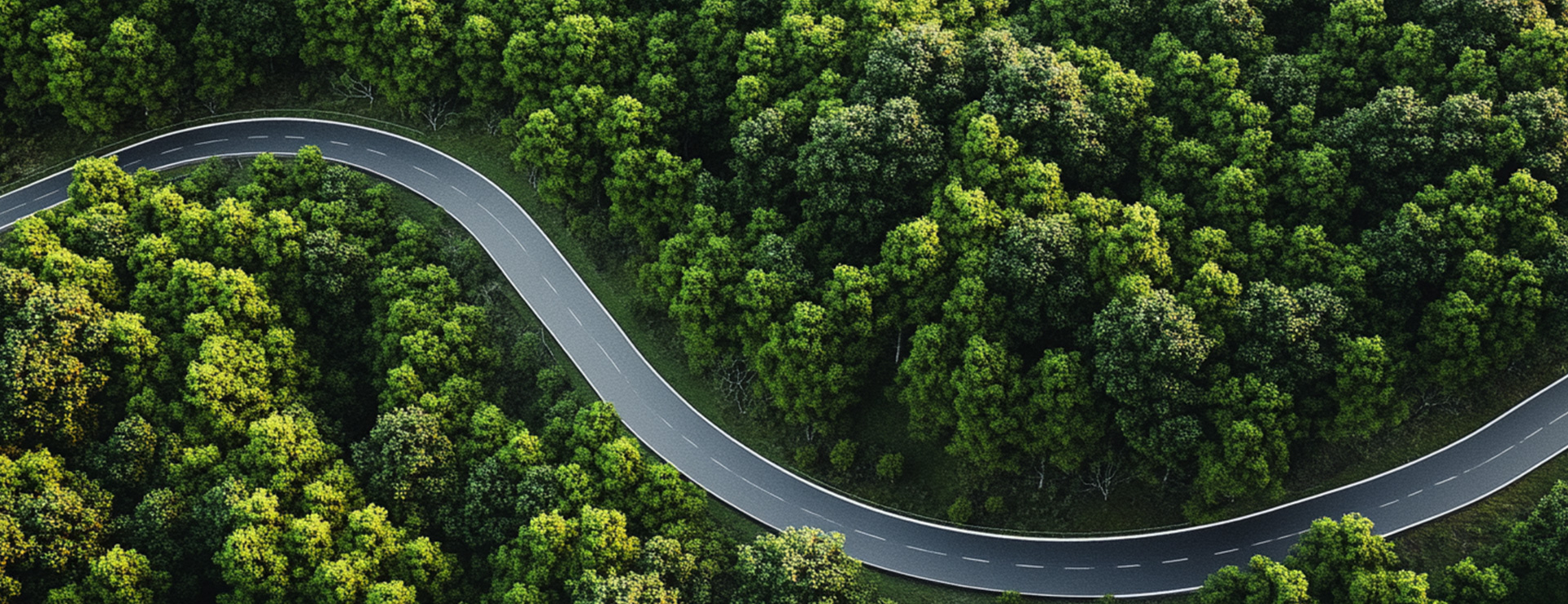 ����������(�й�)������-�й�����